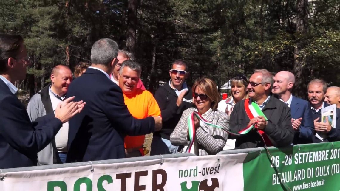 Boster 2014